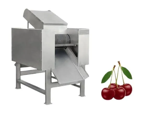 Cherry pitting machine Cherry pitting machine