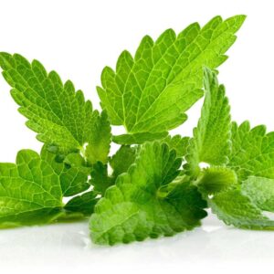 نعناع برند Karoël Spice