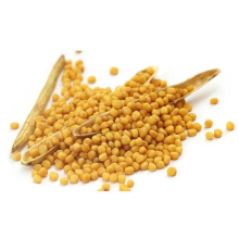 فیبر سویا وارداتی YUXIN